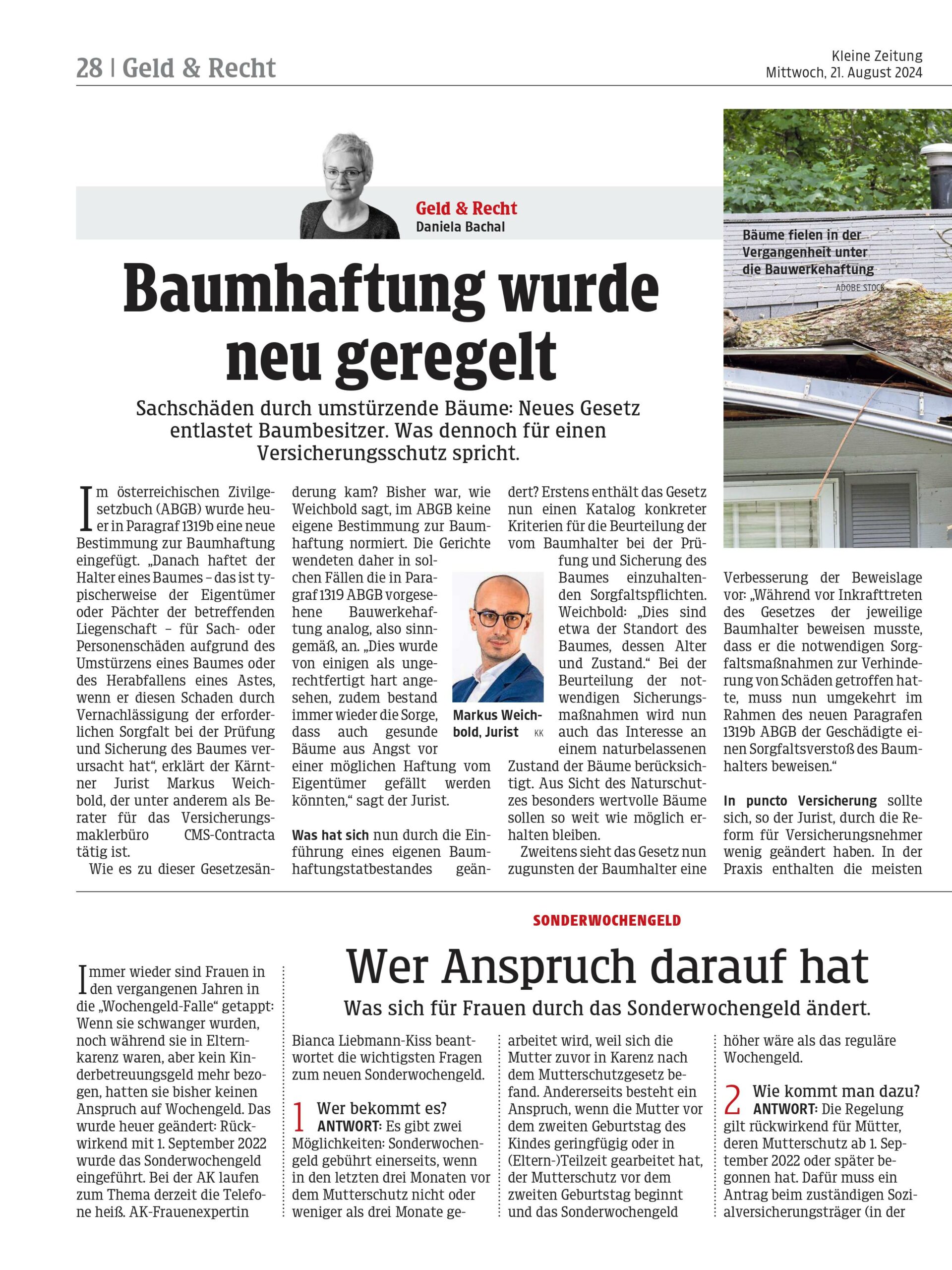 Die Gefahren der Baumhaftung