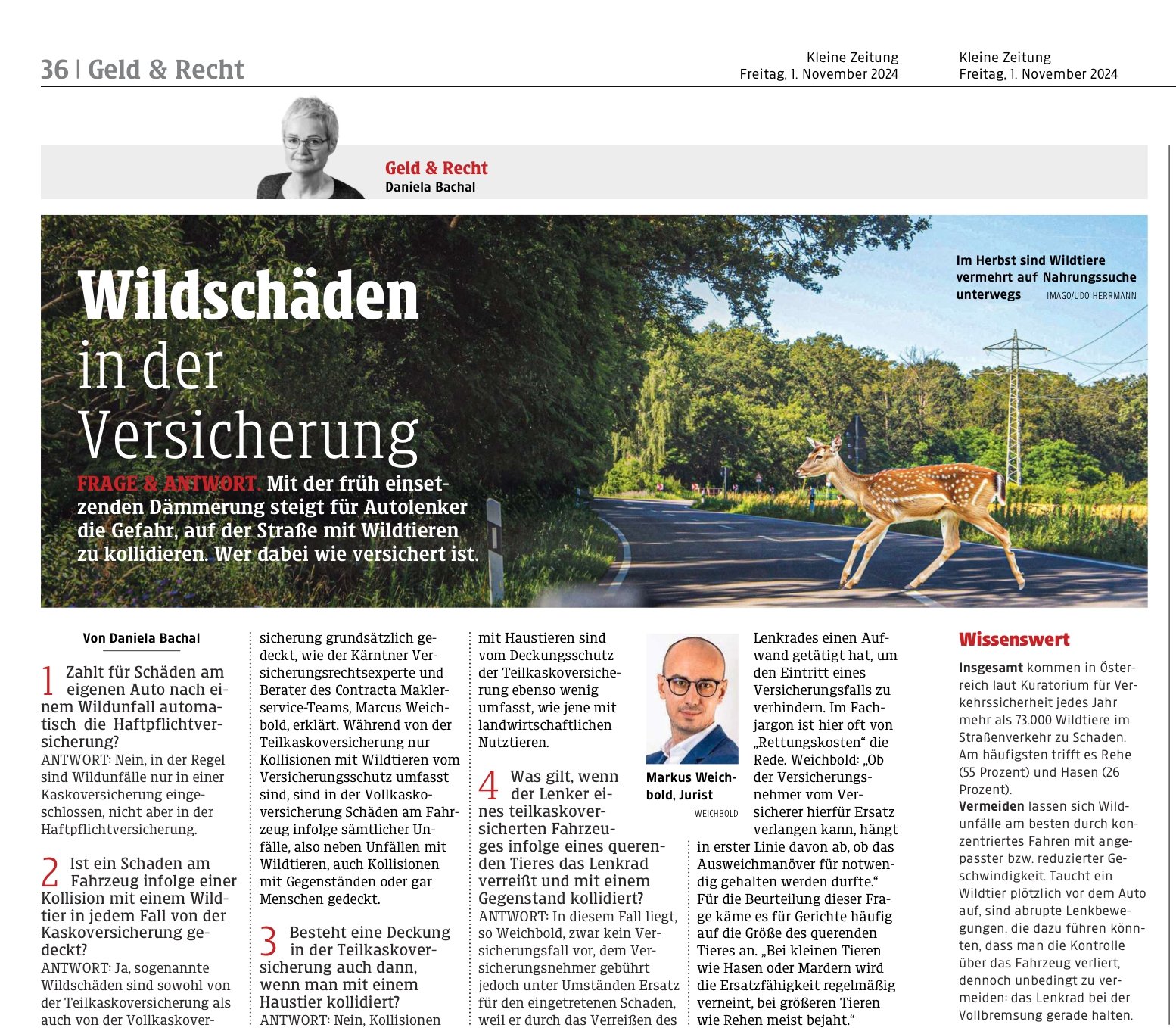 Wildschäden in der Kfz-Versicherung